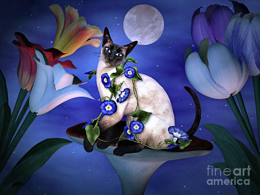 Siamese Moonlight  Digital Art by Elaine Manley