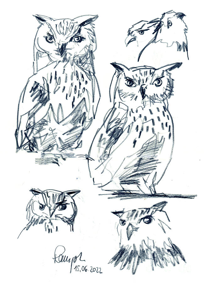 Siberian Eagle Owl Bird Drawing Drawing by Frank Ramspott - Fine Art ...