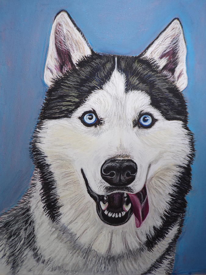 Siberian husky dog Painting by Andrea Napolitano - Fine Art America