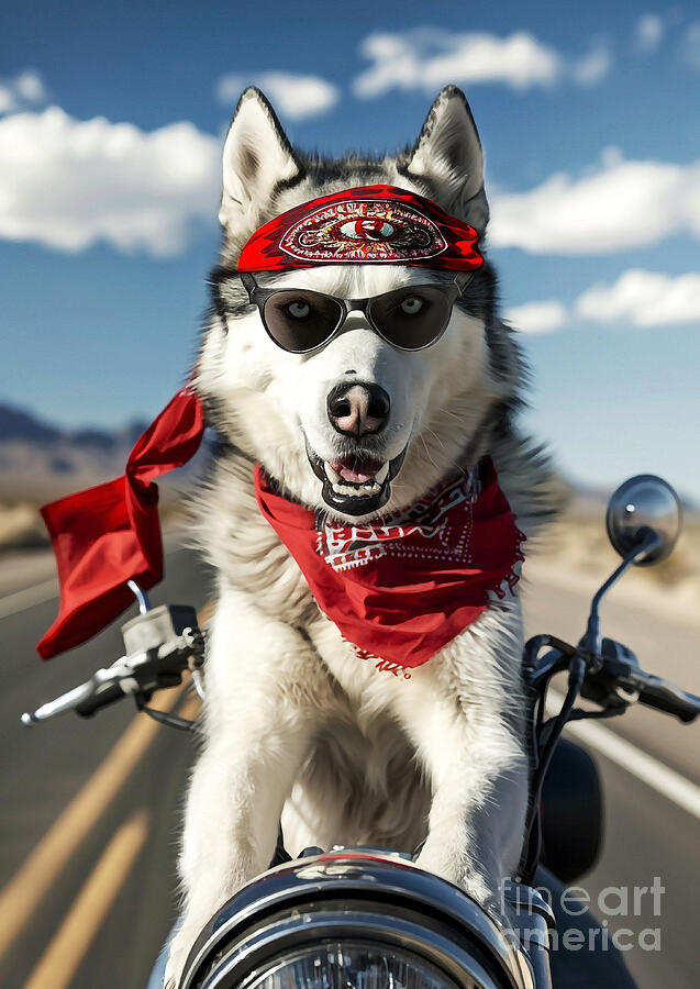 Siberian Husky Riding A Motorcycle Down A Desert Highway Digital Art