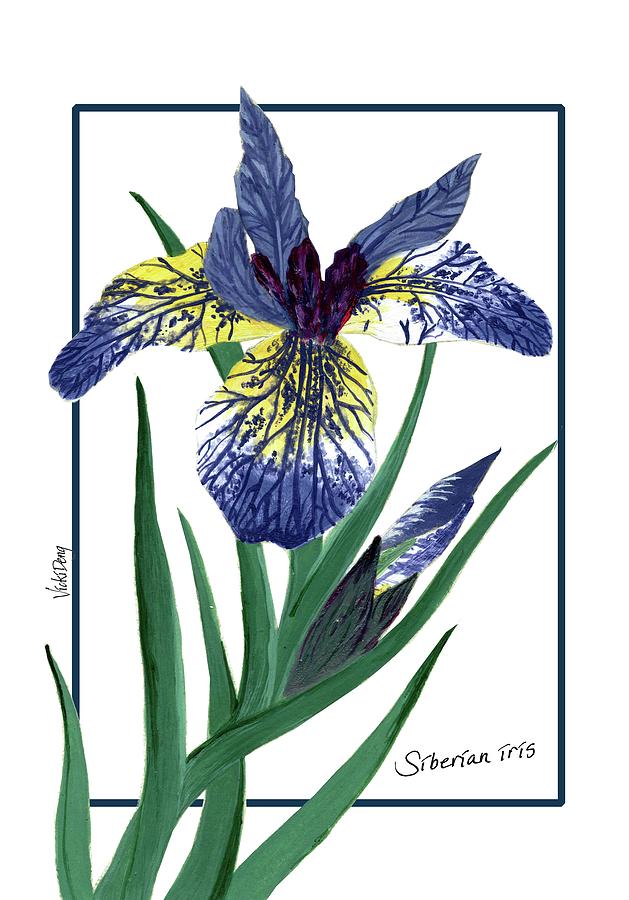 Siberian Iris Painting By Vicki Deng - Fine Art America