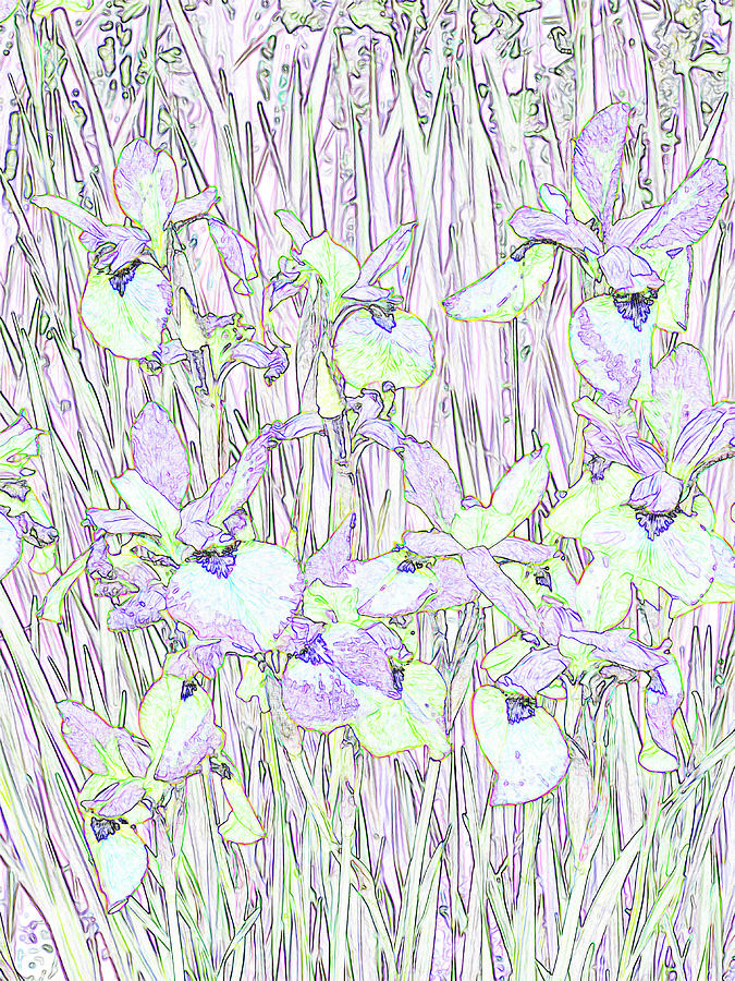 Siberian Irises Abstract Photograph by Diane Lindon Coy