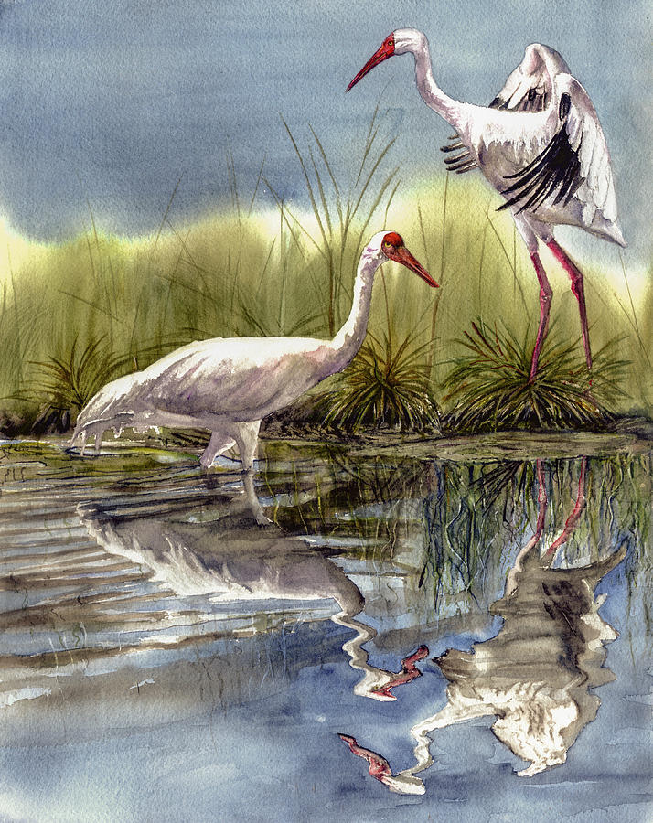 Nature Painting - Siberian Snow Crane by Vicky Lilla