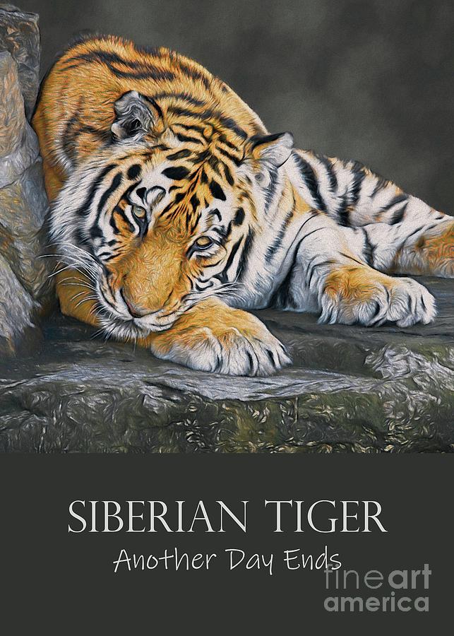 Siberian Tiger - Another Day Ends Digital Art by Philip Preston