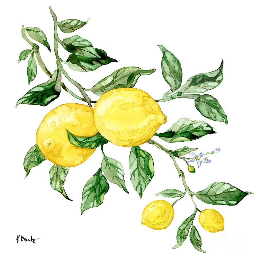 Lemon Painting - Sicilian Lemons I by Paul Brent