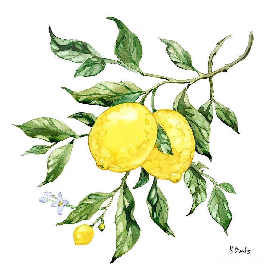 Sicilian Lemons II Painting by Paul Brent - Fine Art America