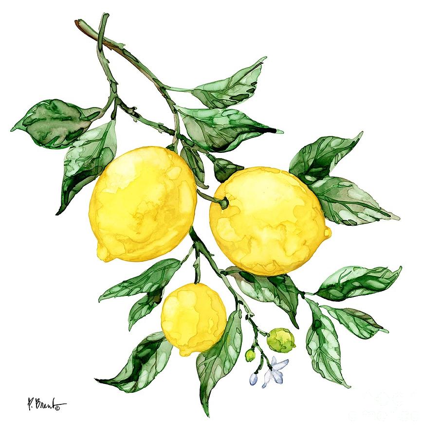Lemon Painting - Sicilian Lemons III by Paul Brent