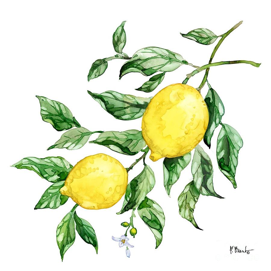 Sicilian Lemons IV by Paul Brent