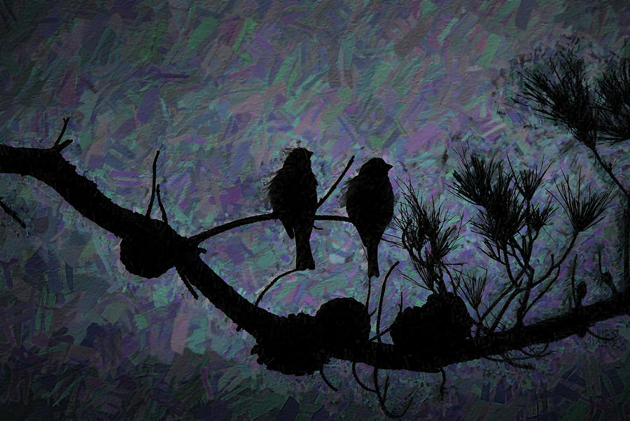 Bird Digital Art - Side by Side At Night  by Linda Brody