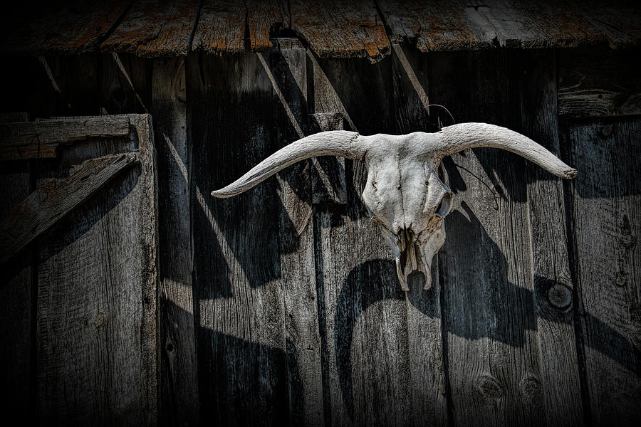 Side of a Barn with Longhorn Steer Skull and Shadows Photograph by Randall Nyhof