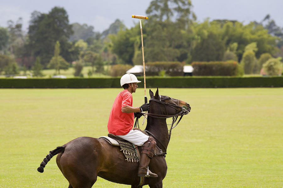 Side profile of a senior man playing polo Photograph by Glowimages