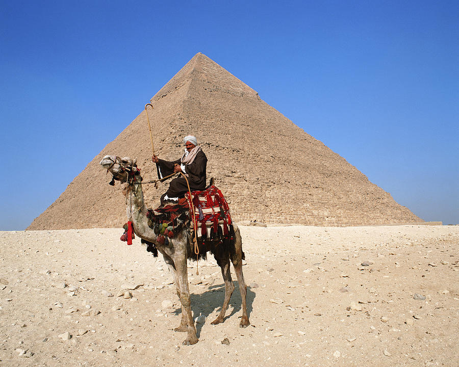Side view of a camel rider in front of pyramid, Giza, Egypt Photograph by Mixa