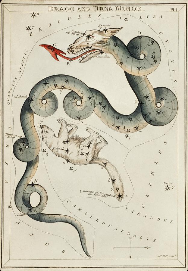 Vintage Painting - Sidney Halls 1831 astronomical chart  of the Draco and the Ursa Minor by Les Classics