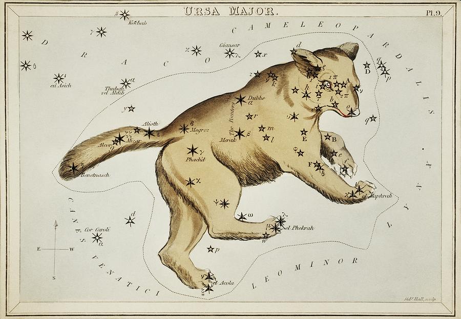 Animal Painting - Sidney Halls 1831 astronomical chart  of the Ursa Major by Les Classics