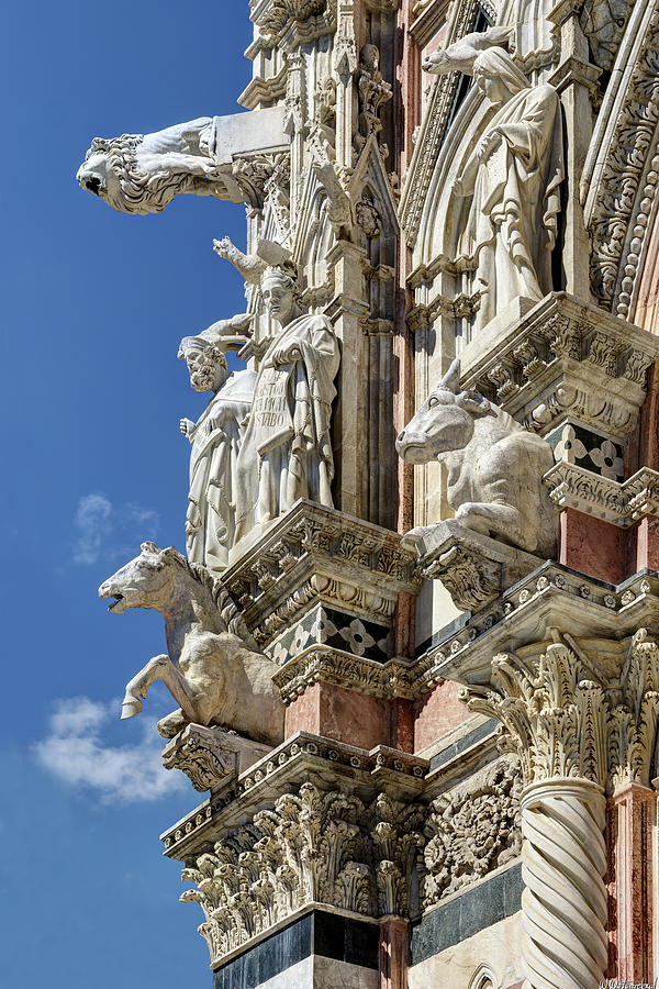 Siena Duomo statues 2 Photograph by Weston Westmoreland