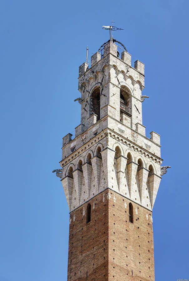 Siena town hall tower - torre mangia Photograph by Weston Westmoreland