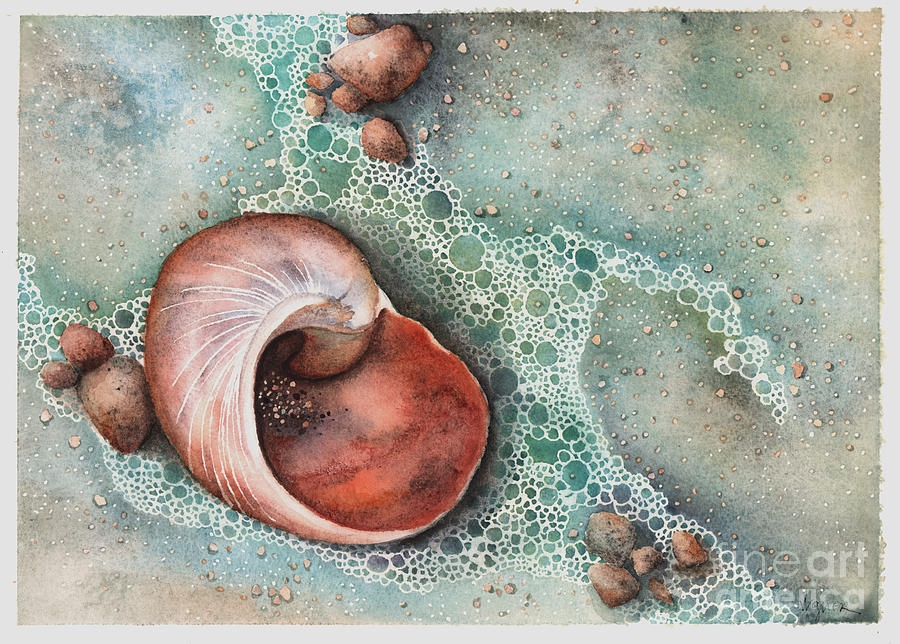 Shell Painting - Sienna by Hilda Wagner Shell Painting - Sienna by Hilda Wagner