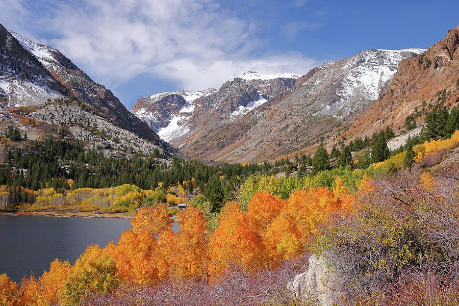 Sierra Autumn Photograph by Steve Wolfe