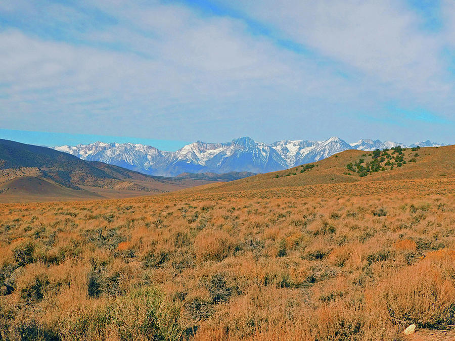 Sierra Nevada Photograph by Carl Moore