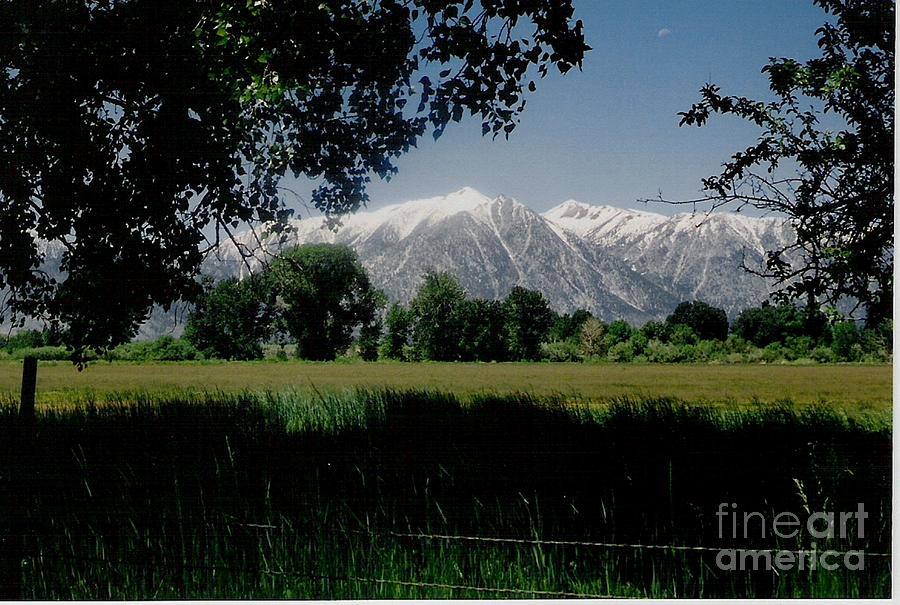 Sierra Nevada Mountains Photograph