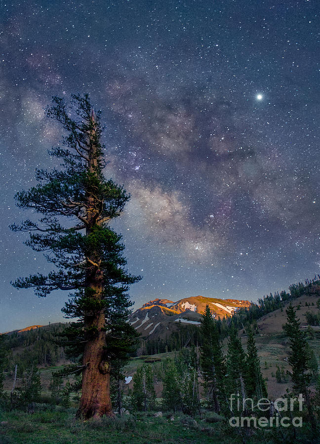 Sierra Night Sky Photograph by Leslie Wells