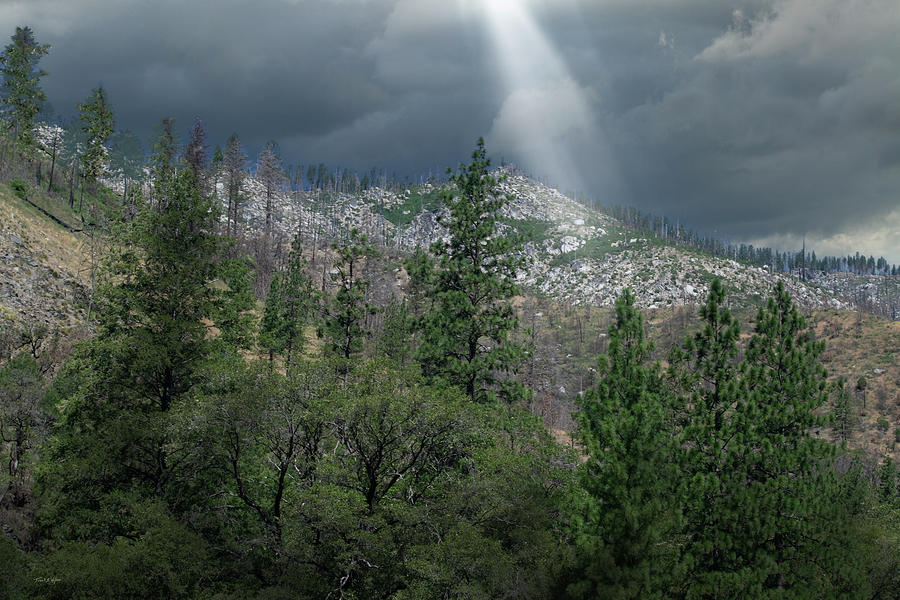 Sierra Sunbeam D Photograph by Frank Wilson