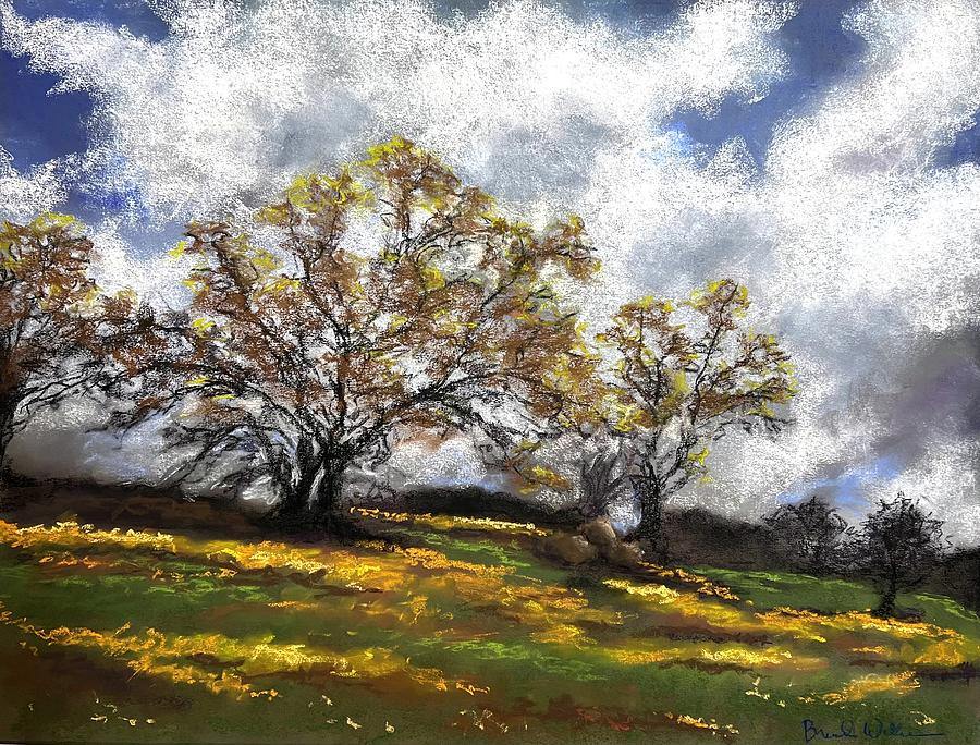 Impressionism Pastel - Sierra Wildflowers by Brenda Williams