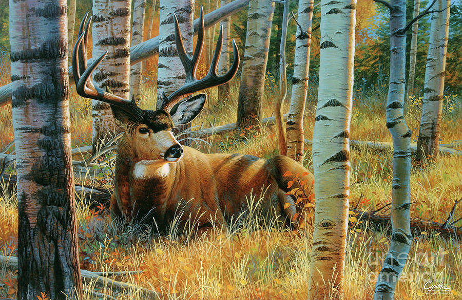 Siesta Mule Deer Painting by Cynthie Fisher