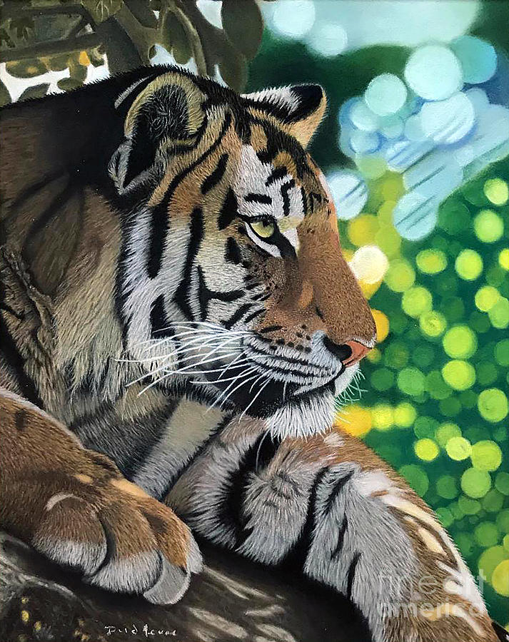 Tiger Photograph - Siesta Tiger Pastel Painting by Dave Nevue Tiger Photograph - Siesta Tiger Pastel Painting by Dave Nevue