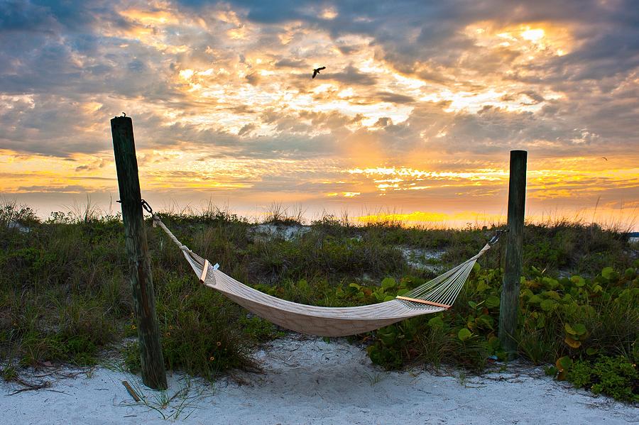 Siesta time Photograph by Edgar Estrada - Fine Art America