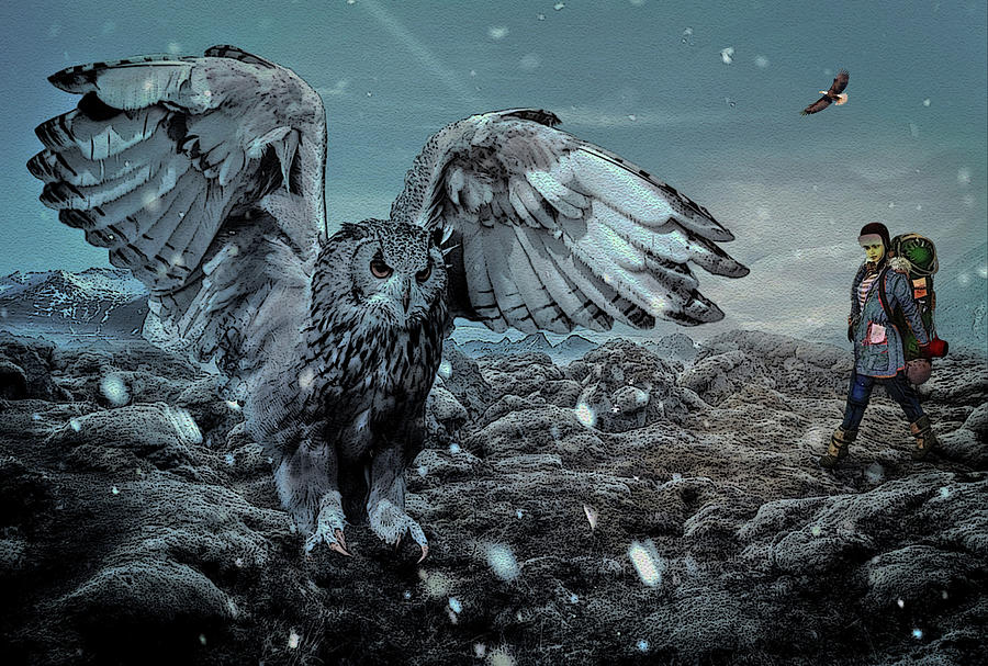Owl Digital Art - Sighting the Owl by Julie Grace