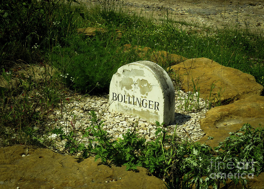 Sign For Bollinger Champagne Grapes Photograph