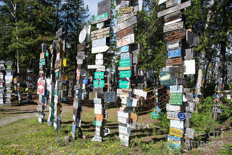 Sign Post Forest Photograph by Grace Grogan - Pixels