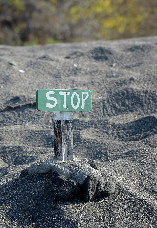Sign to keep people off Galapagos green turtle nesting areas, Urbina Bay, Isabela Island, Galapagos Islands, Ecuador Photograph by Kevin Oke
