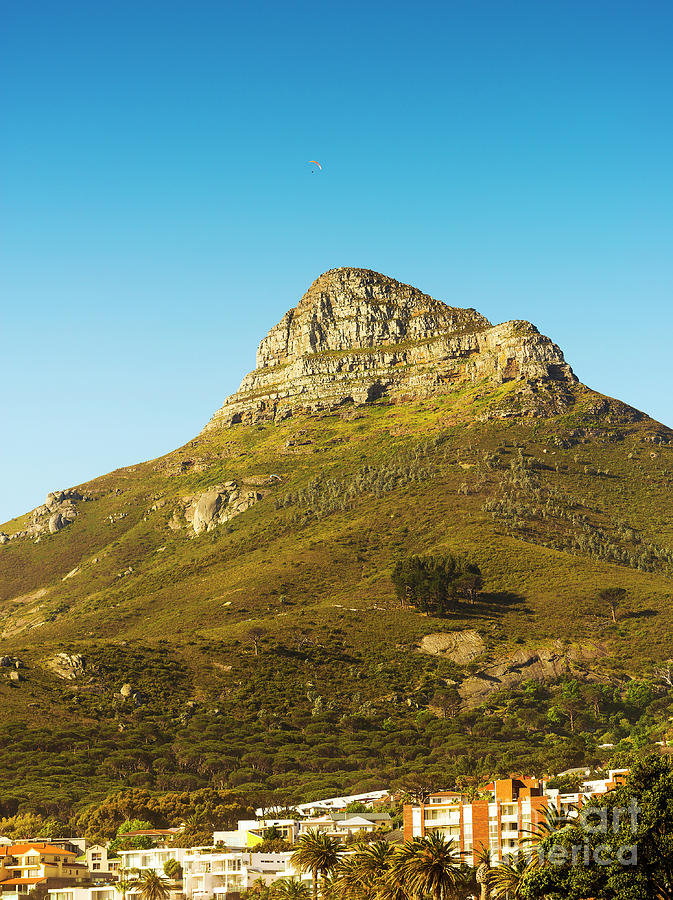 Nature Photograph - Signal Hill Over Cape Town, South Africa by THP Creative