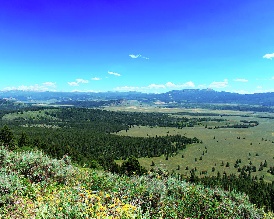 Signal Mountain Teton National Park Photograph By Gabrielle Johnson 