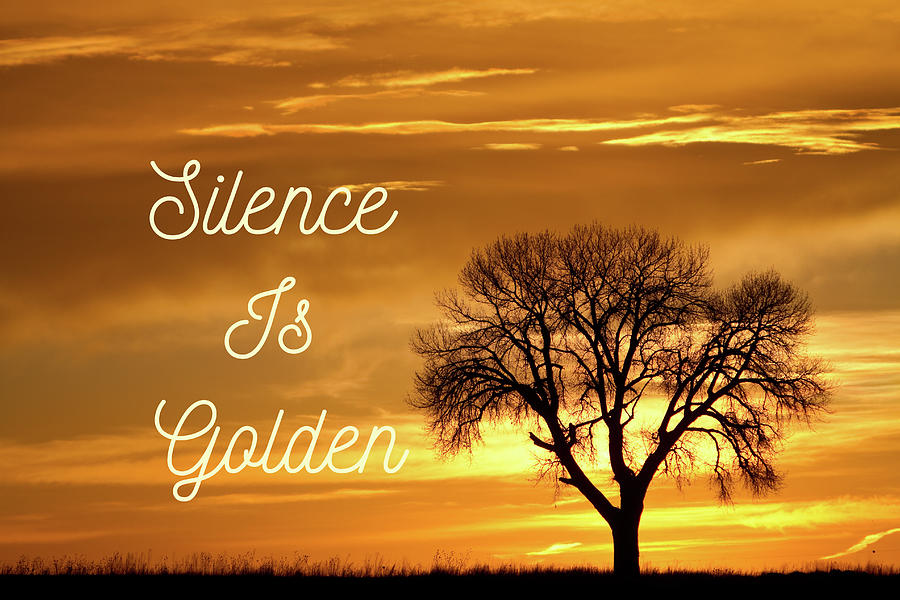 Silence Is Golden Photograph by James BO Insogna