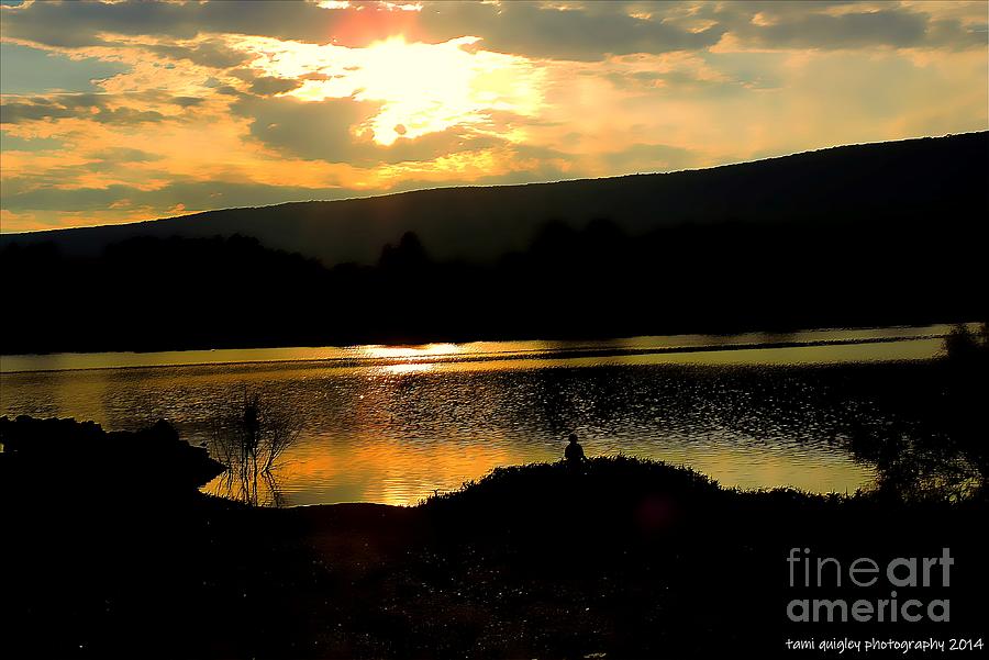 Nature Photograph - Silence Is Golden by Tami Quigley