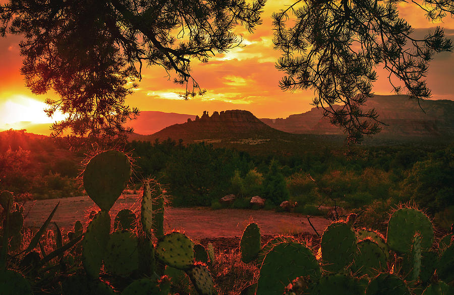  Desert Sunset Photograph by Heber Lopez