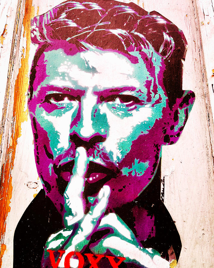 Silenced By David Bowie Photograph
