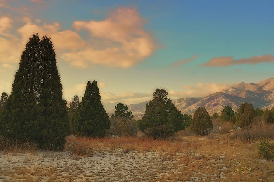 Garden Of The Gods Digital Art - Silence_Of_The_Pines_20210315 by Joseph Liberti Garden Of The Gods Digital Art - Silence_Of_The_Pines_20210315 by Joseph Liberti