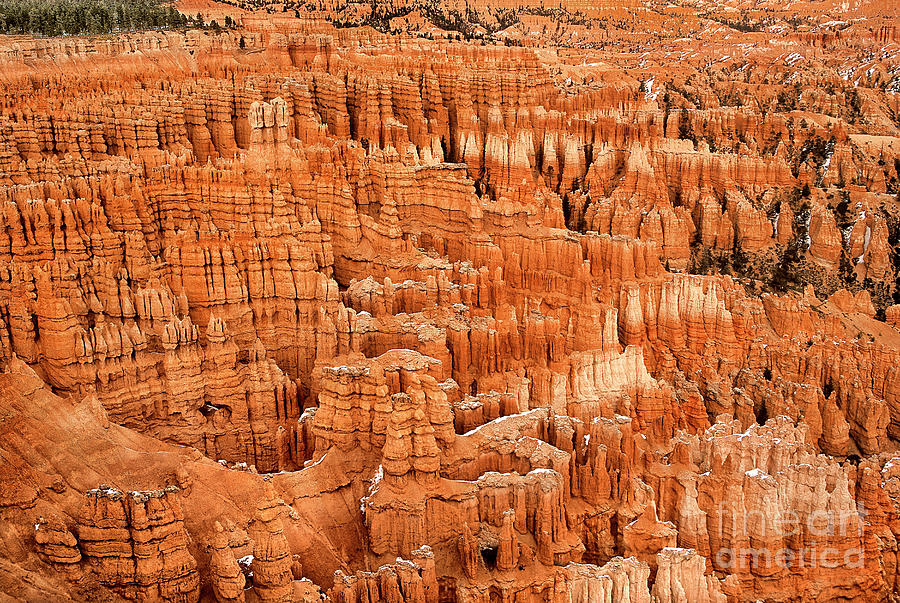 Silent City From Inspiration Point Bryce Canyon National Park Utah Photograph by Dave Welling