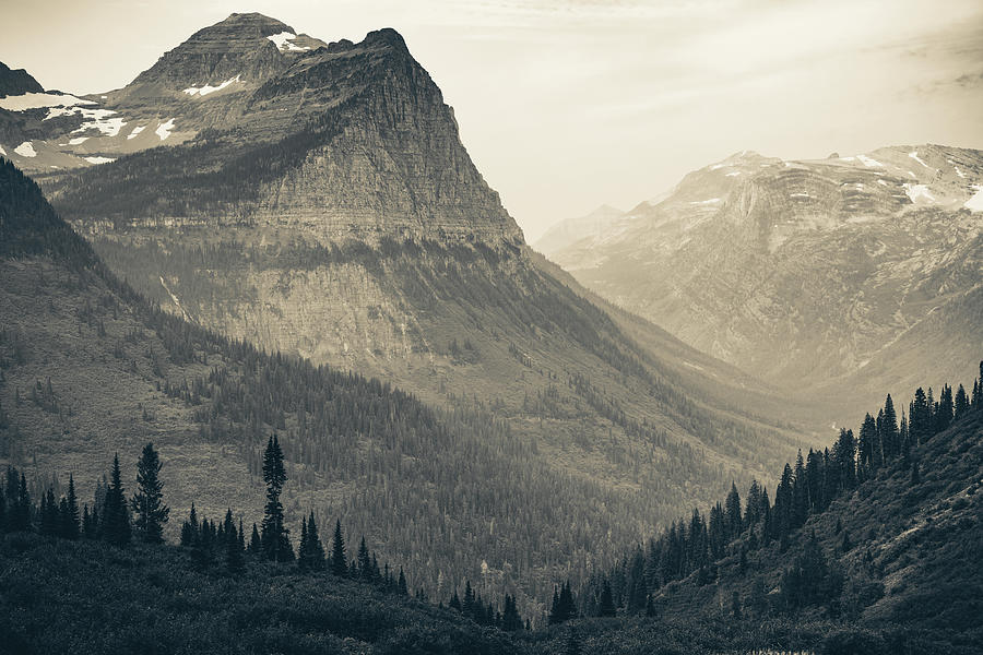 Silent Majesty At Big Bend - Glacier National Park In Sepia Photograph by Gregory Ballos