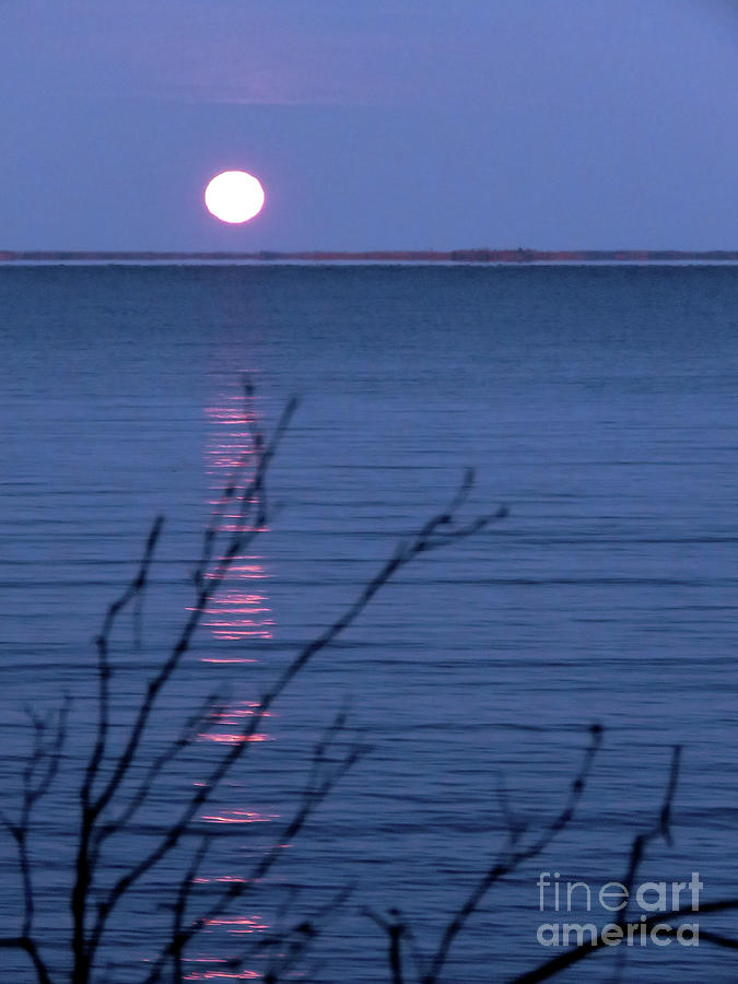 Silent Moon Over Water Photograph by Mary Mikawoz