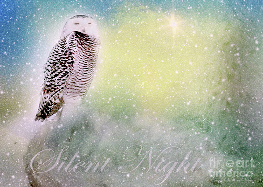 Silent Night Photograph by Clare VanderVeen