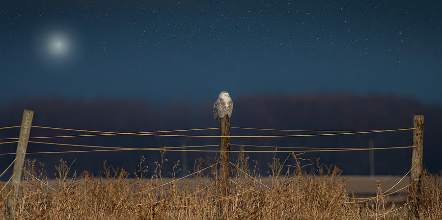 Silent Night Photograph by James Overesch