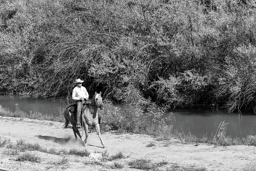 Silent Trails - Palomino and Cowboy in Monochrome Photograph by ...