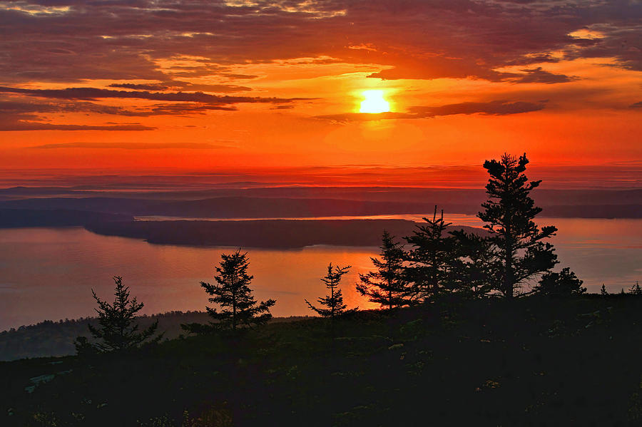 Shilouette Sunrise From Cadillac Mountain Photograph by Stephen Vecchiotti