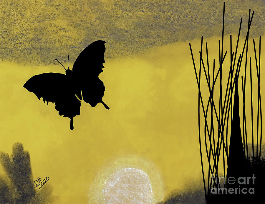 Silhouette Butterfly Photograph by D Hackett