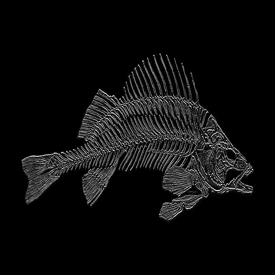 Silhouette Cool Fish Bones Jumping Skeleton Digital Art by Lena Owens - OLena Art Vibrant Palette Knife and Graphic Design
